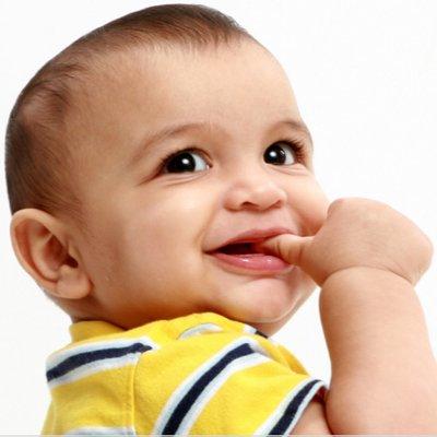 Egy Statistical Service Inc