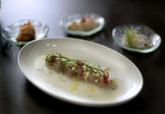 Fresh crudo and ceviche