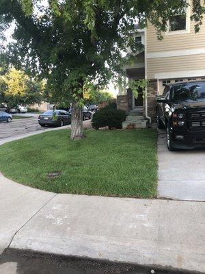 Bill Coyle Turf Farms