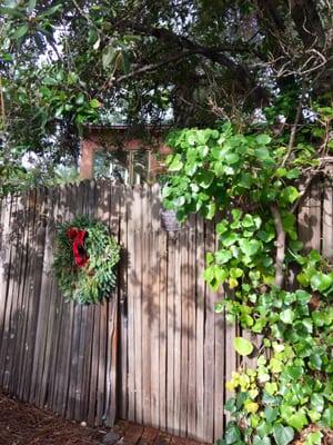 Susan Stuart - Intuitive Development Institute