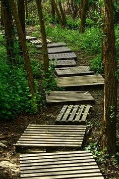 A beautiful pallet walkway