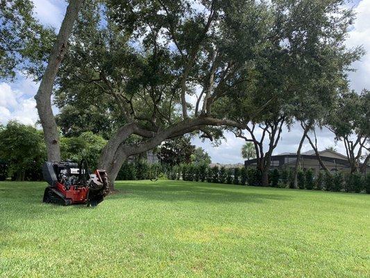 Elite Lawn And Tree Services