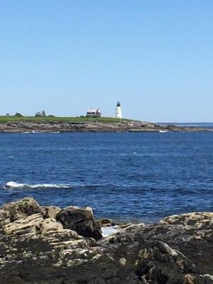Wood Island Lighthouse across the water, standing in the sanctuary.