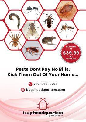 Bugs Headquarters Pest Control