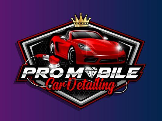 Pro Mobile Car Detailing