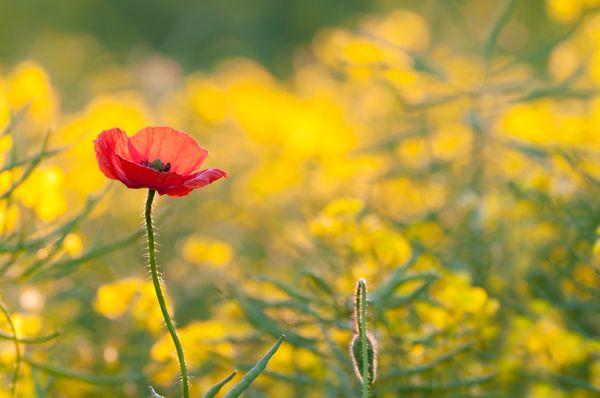 Move and Feel Better