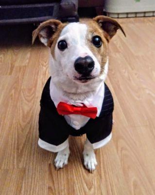 Always Amazing Rudy Rides Taxi and Car Service