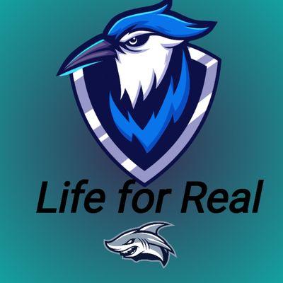 Minor Work And Cleaning