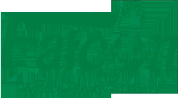 Falcon Transport Co.
Services:
Dedicated Drivers,
Flatbed Drivers,
Owner Operators,
Student Drivers,
Over the Road (OTR) Drivers,