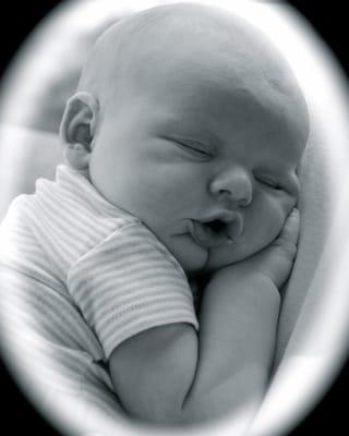 Photography by Allyssa