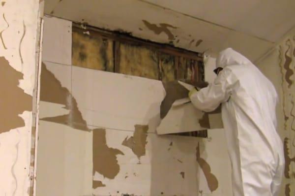 Mold Remediation