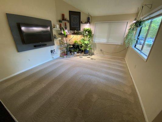 3 Reasons Carpet Cleaning