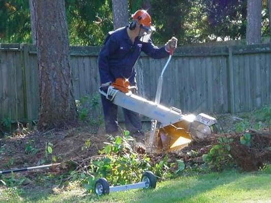 Big J's Stump Removal