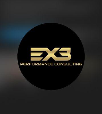EX3 Performance Consulting