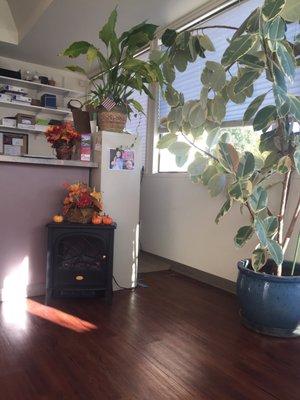 Evergreen Physical Therapy