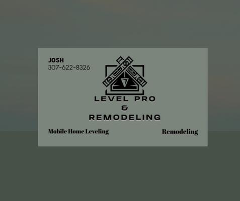 Level Pro & Remodeling