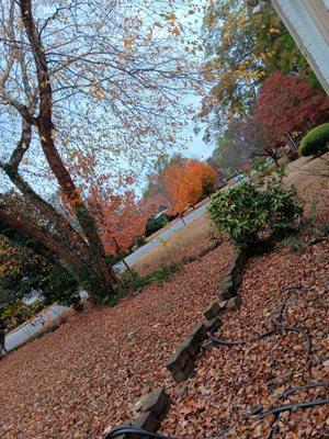 Marylannd cleaning service