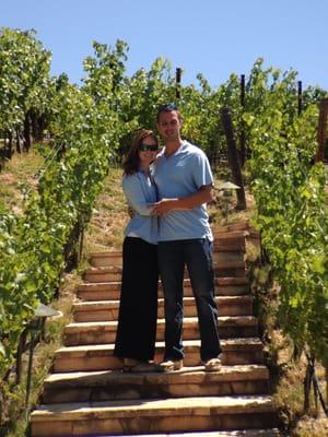 Savor Napa Valley Wine Tours
