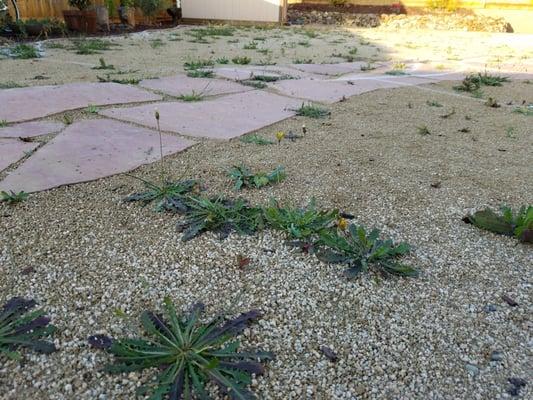 New Vision Home Improvement