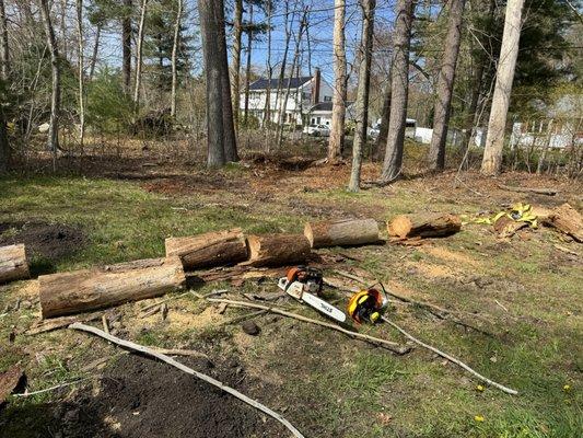 Colby’s Yard and Tree Service