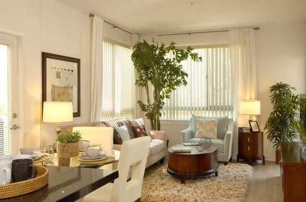 Studio 40/41 Apartments