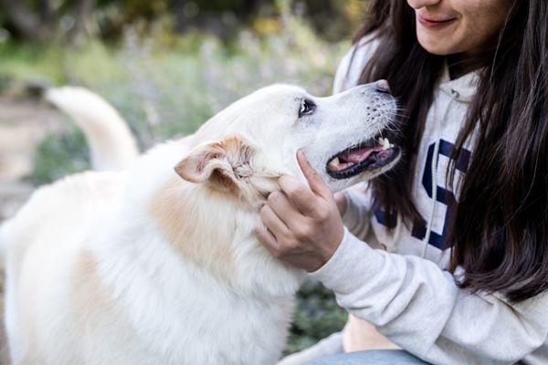 Kylee Doyle Photography