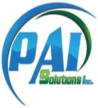PAI SOLUTIONS INC