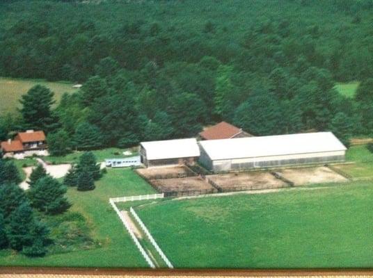 Star E Performance Horses