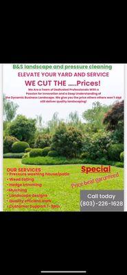 B&S Landscape and Pressure Cleaning