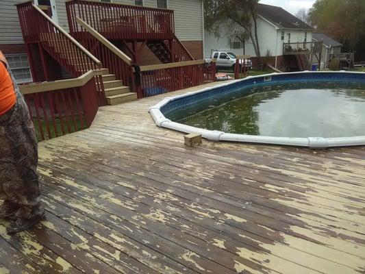 Trace Tree and Yardscapes