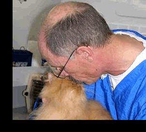 We love grooming cats!