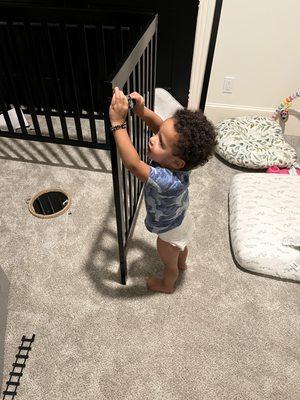 Walden's Handyman Service