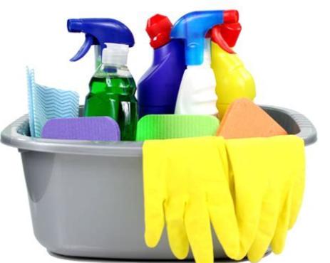 Common Sense Cleaners