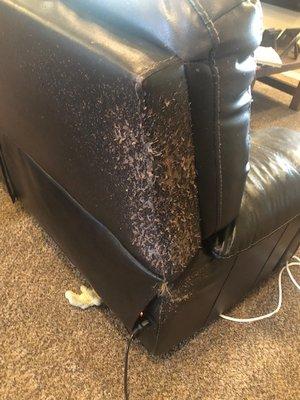 Cat scratch leather damage