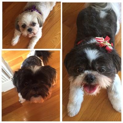 Wish I had "before" pics, but these are "after"