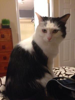 Her coat looks so good!