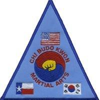 Chi Budo Kwon Martial Arts