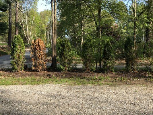 Sunset Landscaping and Nurseries