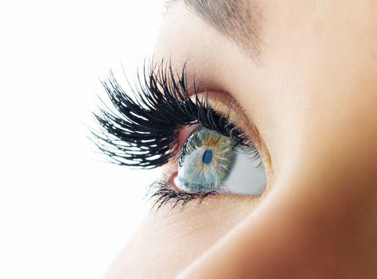 Classic traditional lashes