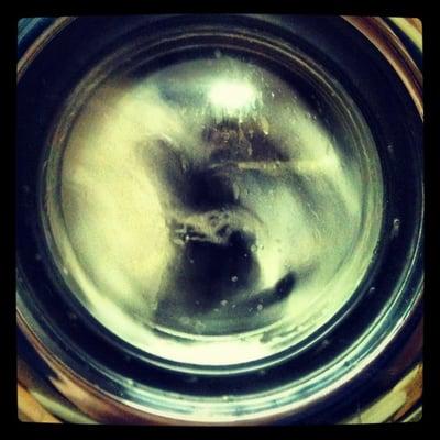 It's wash. What can I say?