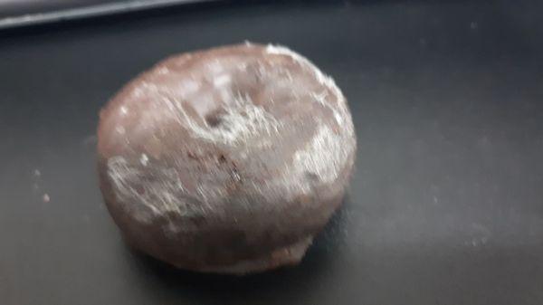 Donuts they sell here are moldy!