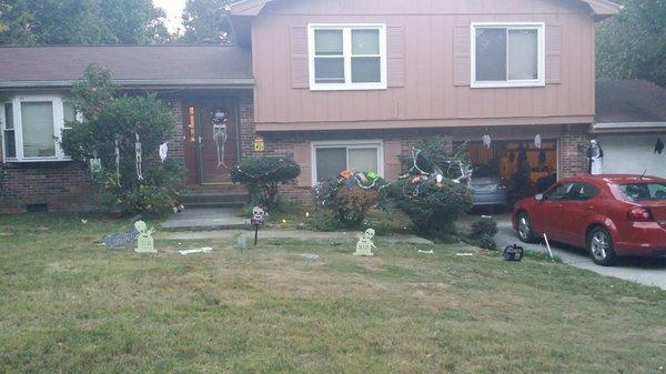 J & D Arborist Services