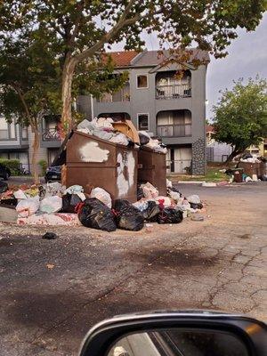 What are trash dumpsters look like everyday. I live right down the way and it smells horrible!!