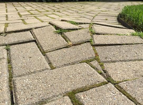 This is what happened after two years - they don't call back even though they promised a lifetime guarantee.