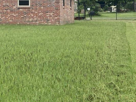 Green’s Lawn Service