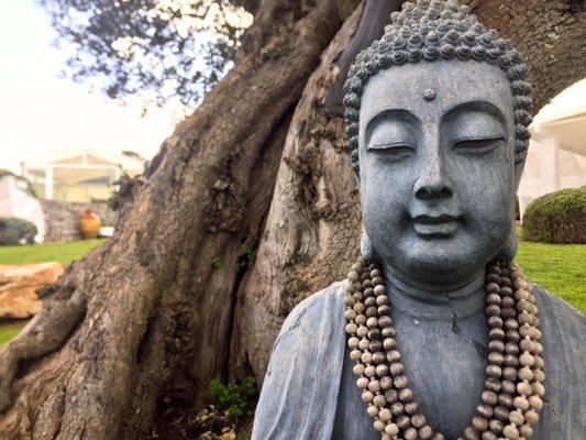 Yoga Therapeutic Privates