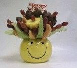 Sammy's Famous Fruit Baskets & Flowers