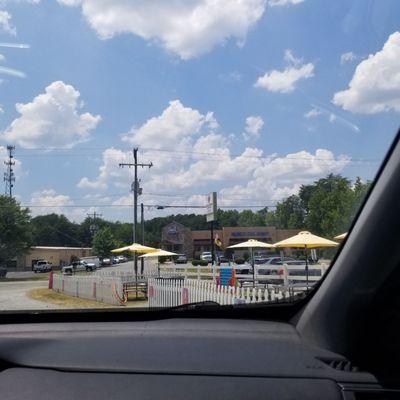 Pelicans Snoballs