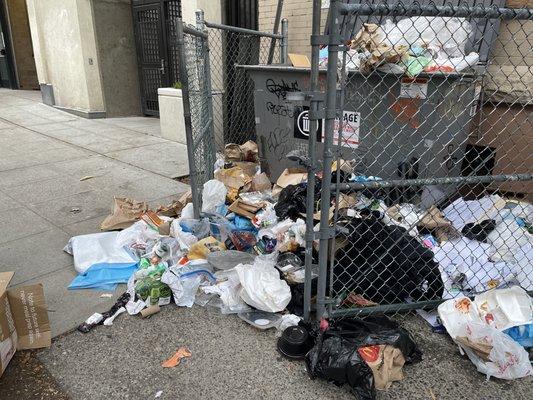 This is what the trash looks like out front CONSTANTLY.