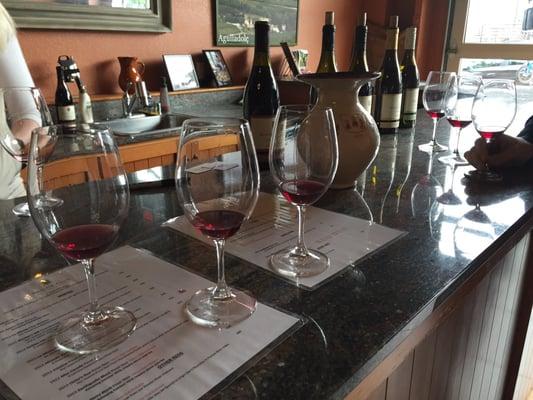Great Pinot tasting - reasonably priced, too.